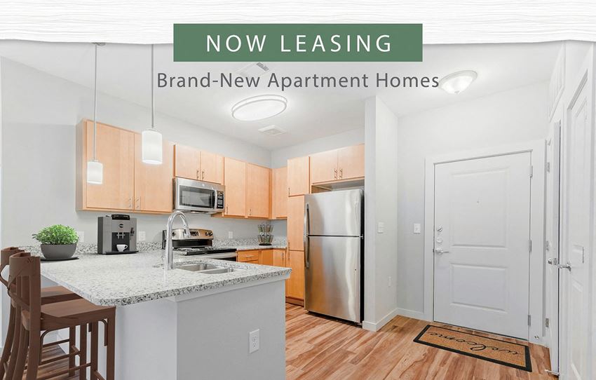 Timbers At Hickory Tree Apartments, 3401 Hickory Tree Road, Balch Springs, TX RentCafe